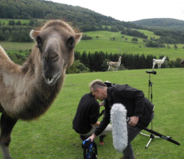 steffen sennert - portfolio website