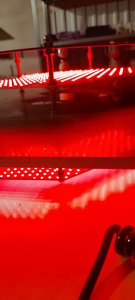 steffen sennert - portfolio website