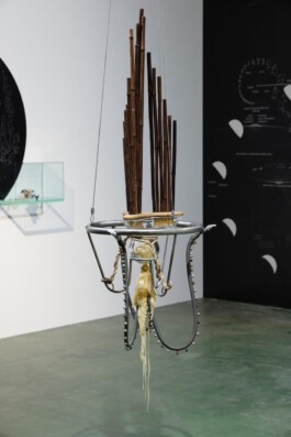 yuske taninaka sheng for three people 2026 Steffen Sennert